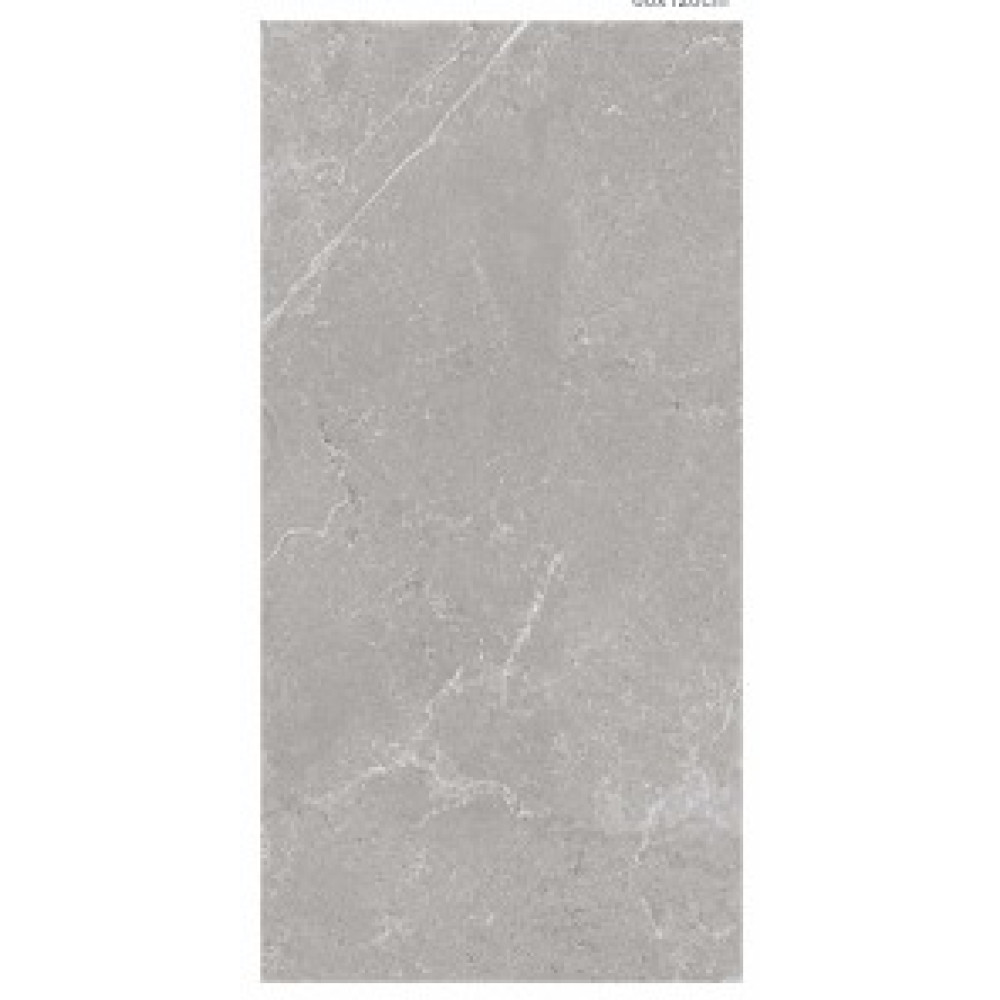Tropic Silver