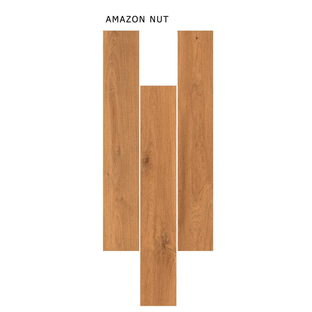 Amazon Nut