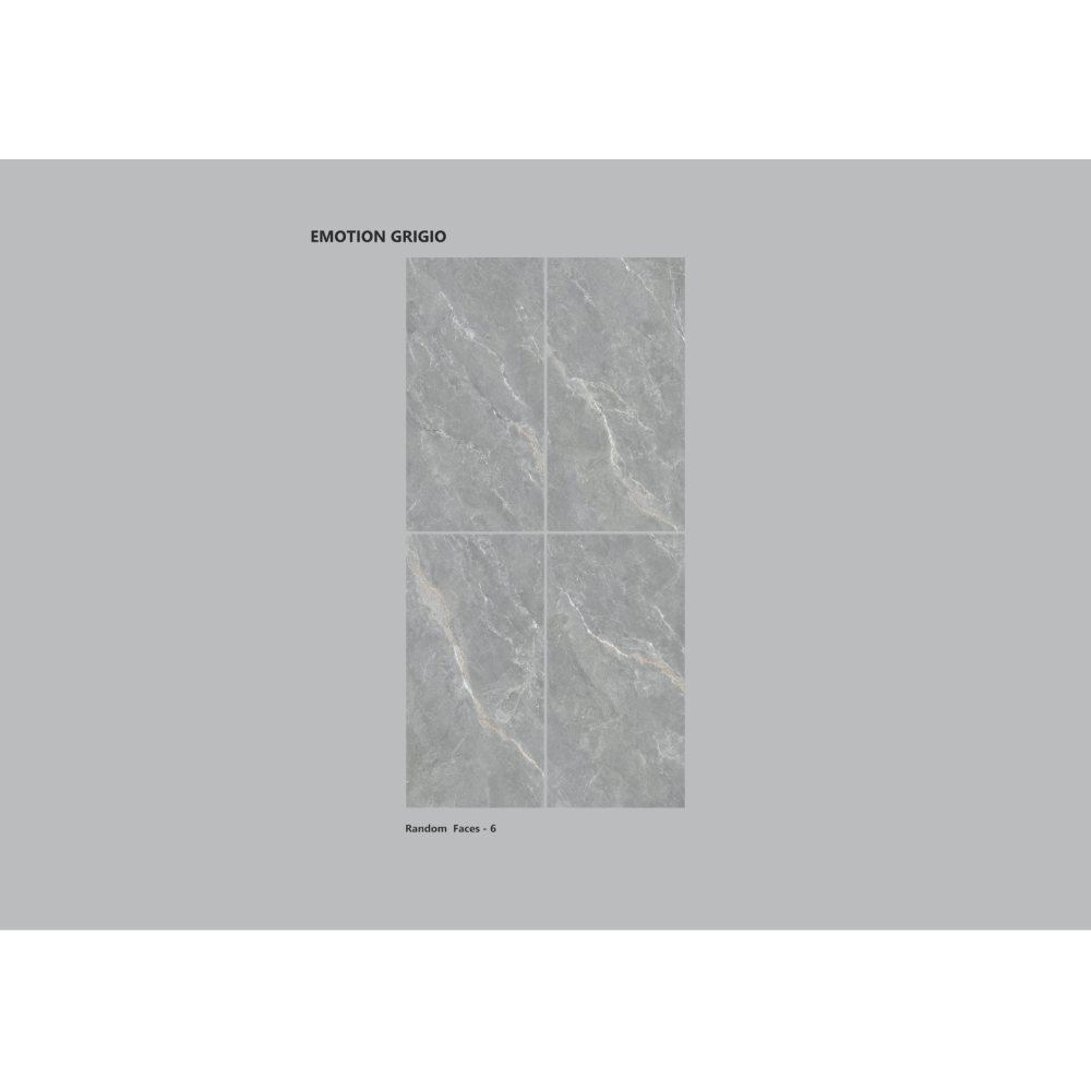  EMOTION GRIGIO