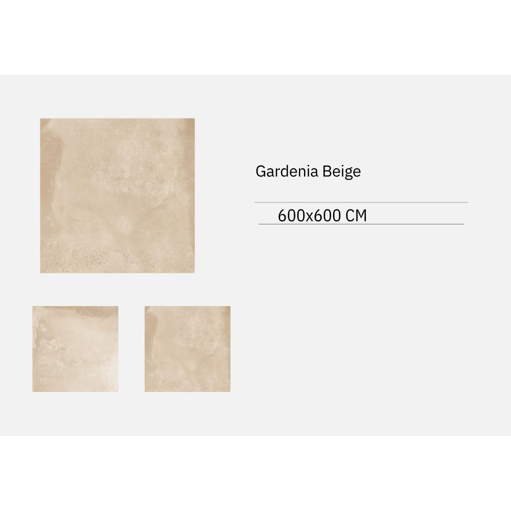  Gardenia  Beige