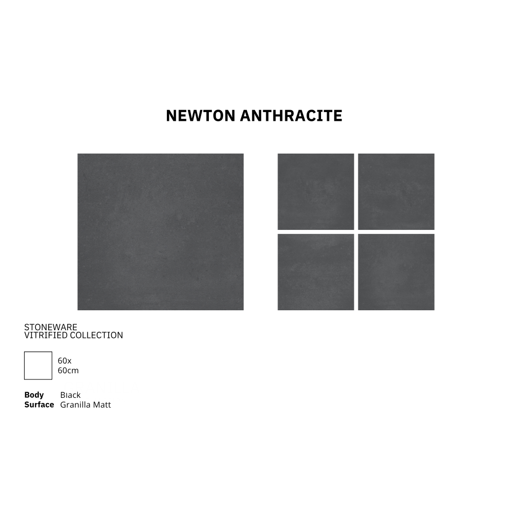 NEWTON ANTHRACITE