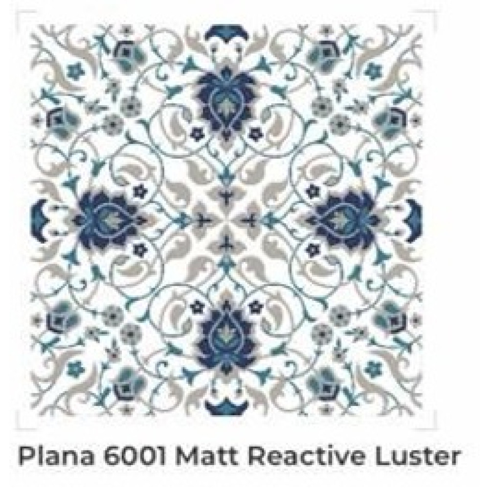 Plana 6001