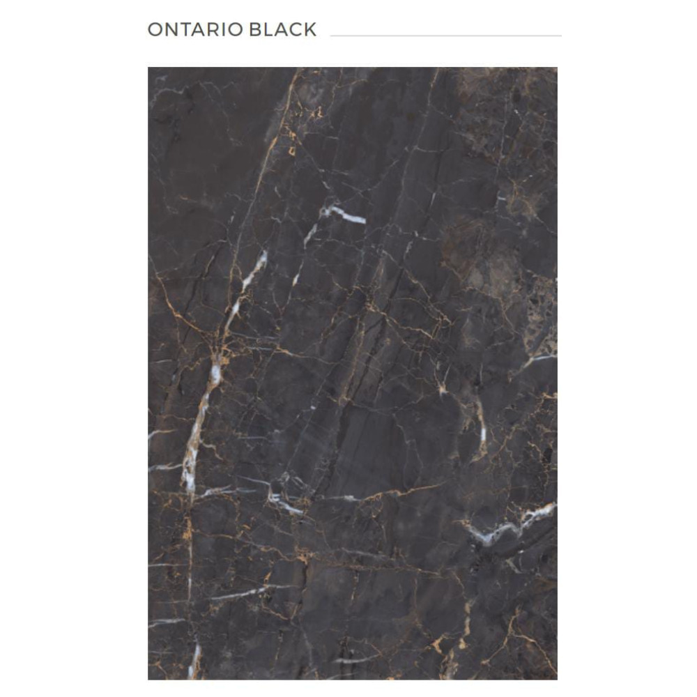 Ontario Black (H.G)